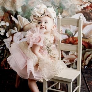 Itty Bitty Toes Cassandra Dress in Pink